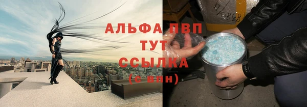 СК Тавда