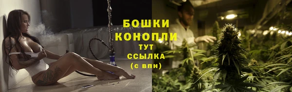 прущие крисы Сясьстрой