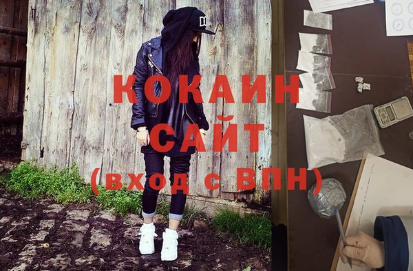 стафф Тайга