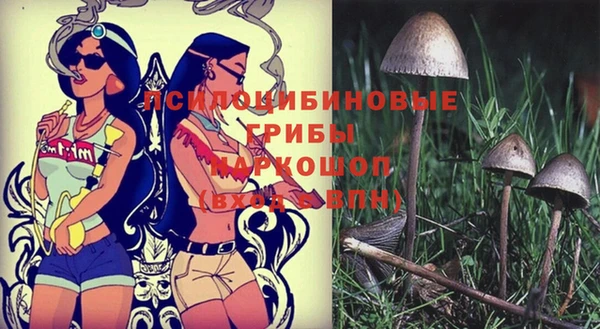MESCALINE Алзамай