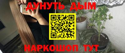 гидра Новодвинск