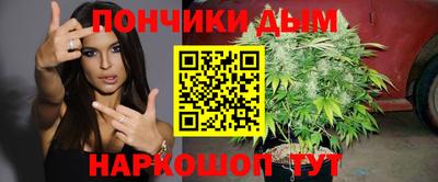 гидра Новодвинск