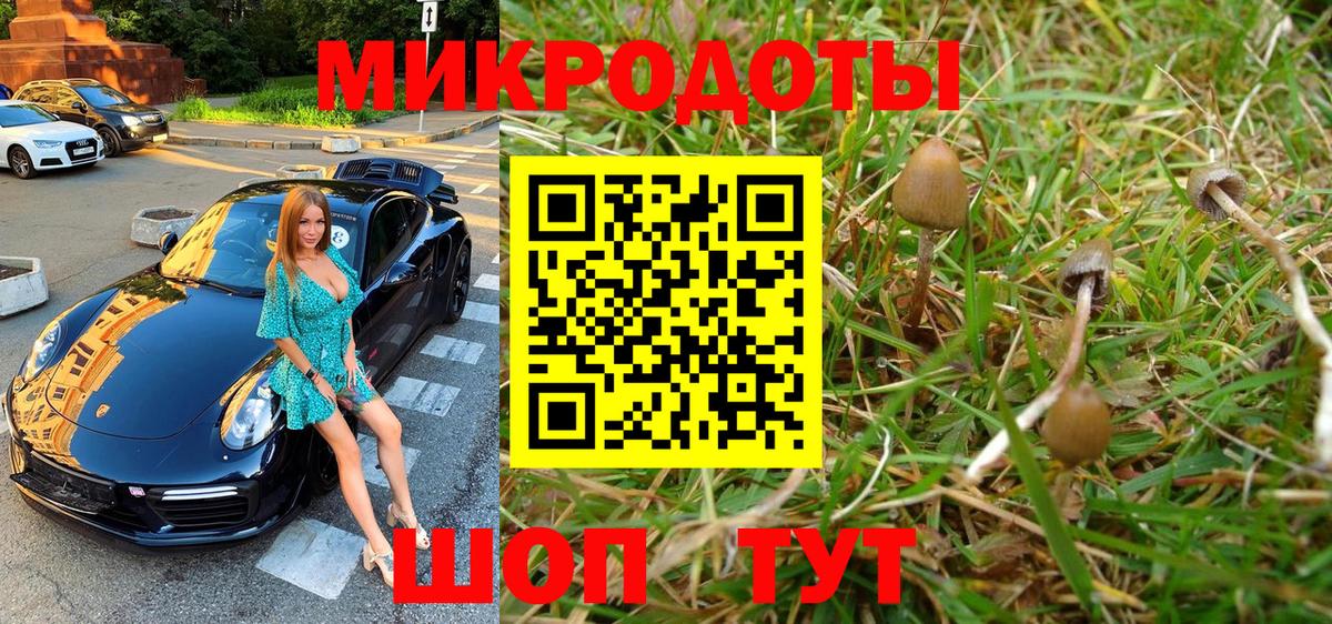 Пермь  Галлюциногенные грибы MAGIC MUSHROOMS  Вход с VPN 