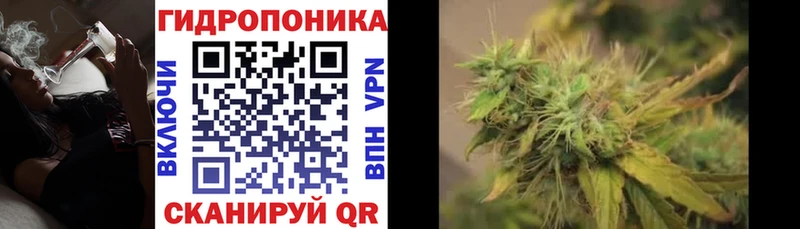 Бошки марихуана Amnesia  закладка  Пермь 